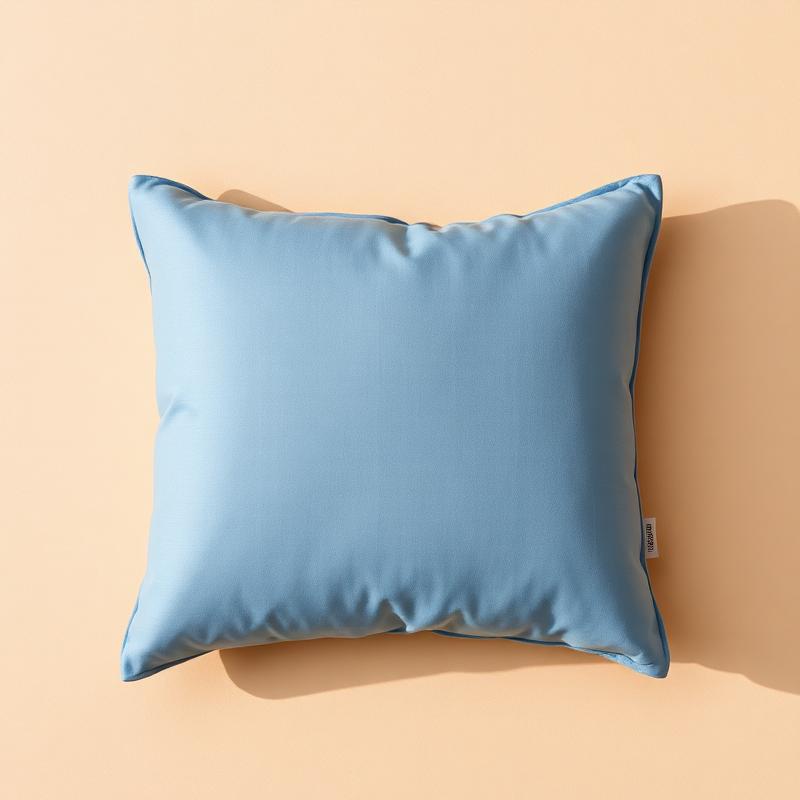 Hullo Buckwheat Pillow